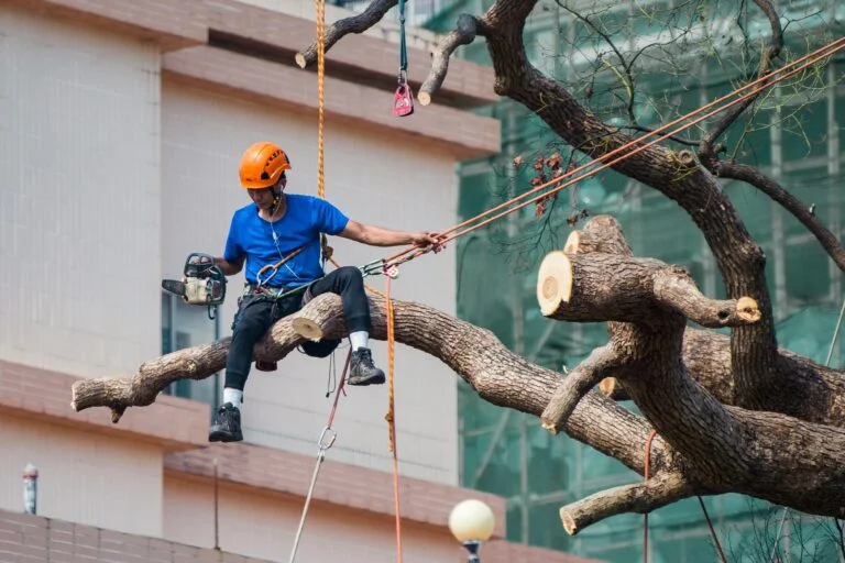 Tahap Pemasangan Lifeline Vertical